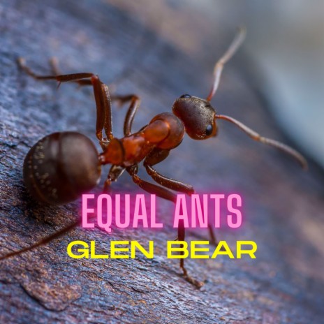 Equal Ants | Boomplay Music