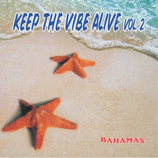 Keep The Vibe Alive, Vol. 2