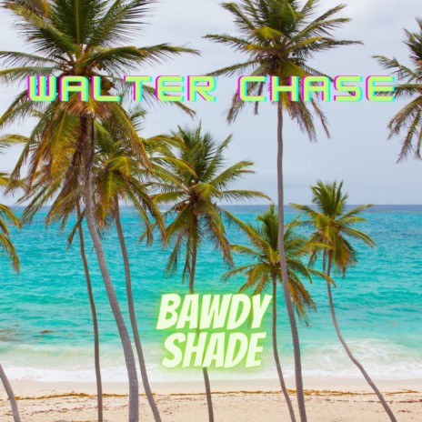 Bawdy Shade | Boomplay Music