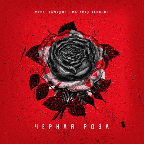 Чёрная роза ft. Магамед Халилов | Boomplay Music