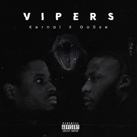 Vipers (feat. Go0se) | Boomplay Music