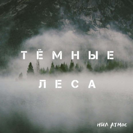 Тёмные леса | Boomplay Music