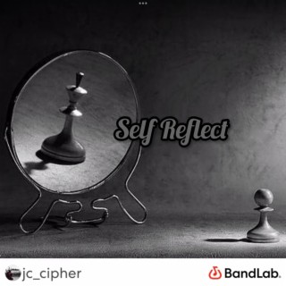 Self Reflect