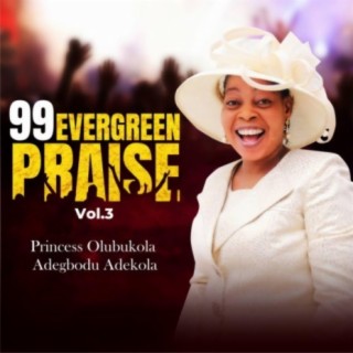 99 Evergreen Praise, Vol. 3