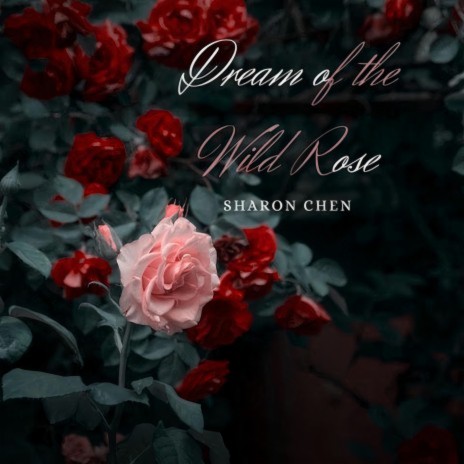 Dream of the Wild Rose | Boomplay Music