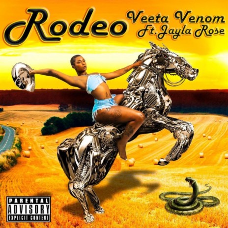 Rodeo (feat. Jayla Rose) | Boomplay Music