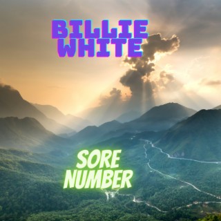 Sore Number