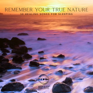 Remember Your True Nature: 50 Healing Songs, Nature Sounds for Sleeping, Natural Therapy Meditation, Stress Relief, Cure for Insomnia, Calm Your Anxiety, Lakeside Dreaming