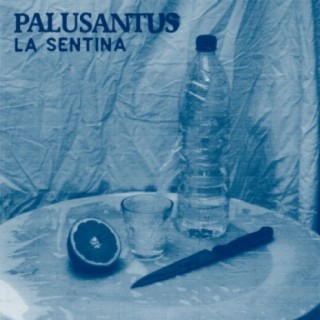 Palusantus