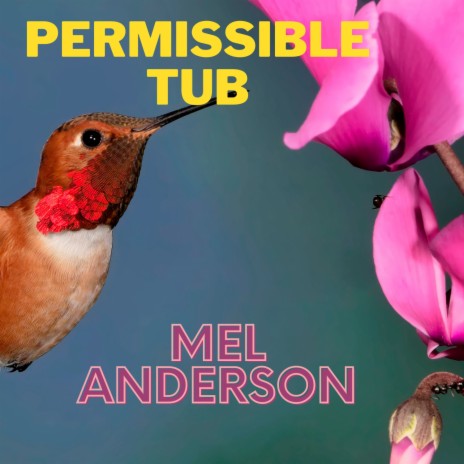 Permissible Tub