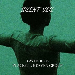 Silent Veil