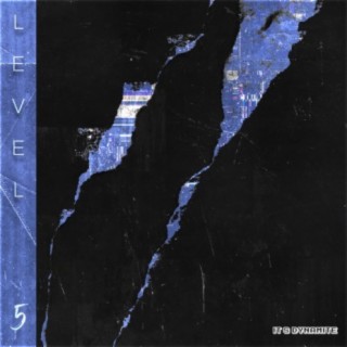 Level 5