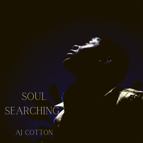 Soul Searching | Boomplay Music