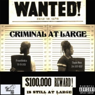 Criminal at Large (feat. Supa Nea)