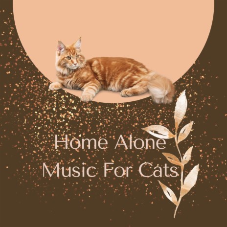 Lazy cat ft. Cat music experience & Pet therapy Piano Music | Boomplay Music