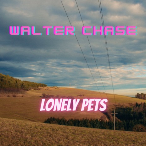 Lonely Pets | Boomplay Music