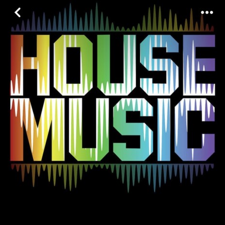HOUSE MUSIC VIBES (Radio Edit)