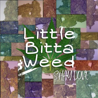 Little Bitta Weed lyrics | Boomplay Music