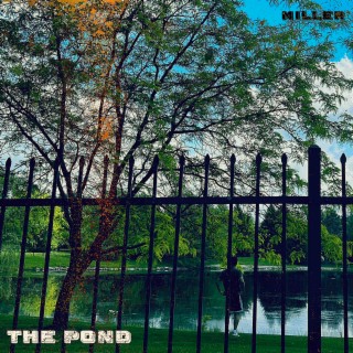 The Pond