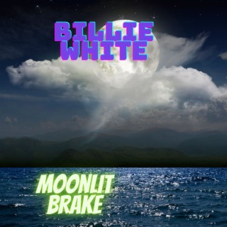 Moonlit Brake