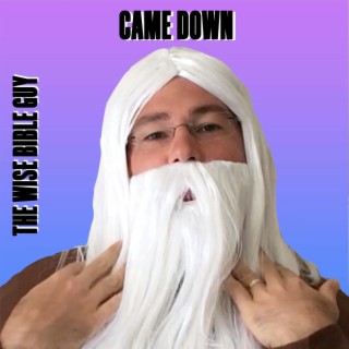 Came Down lyrics | Boomplay Music