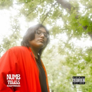 Numb lyrics | Boomplay Music