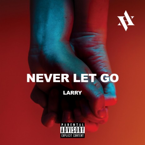 NEVER LET GO | Boomplay Music
