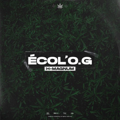 Ecol’O.G | Boomplay Music