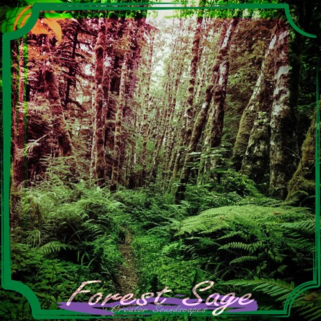 Forest Sage | Boomplay Music