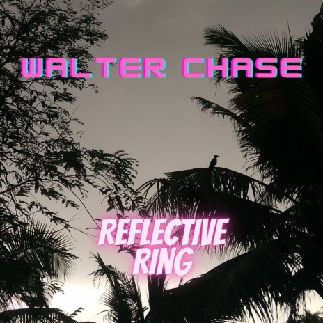 Reflective Ring | Boomplay Music