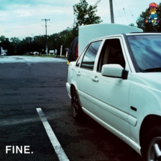 FINE.