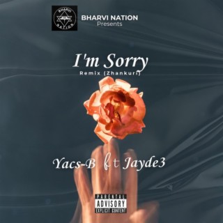 I'm Sorry (Zhankuri) (Remix)