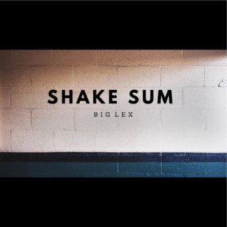 Shake Sum