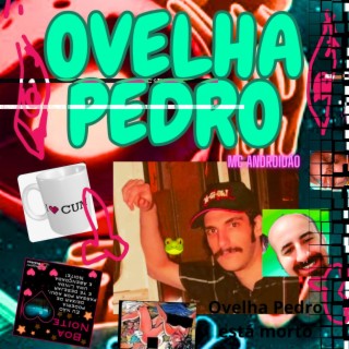 Ovelha Pedro está morto