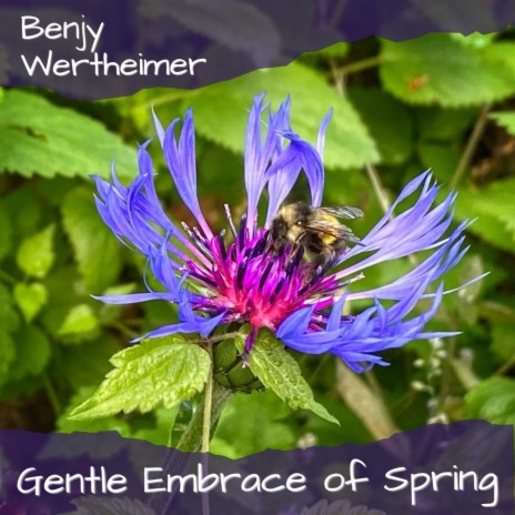 Gentle Embrace of Spring (feat. Jami Sieber, Nancy Rumbel & Todd Boston) | Boomplay Music