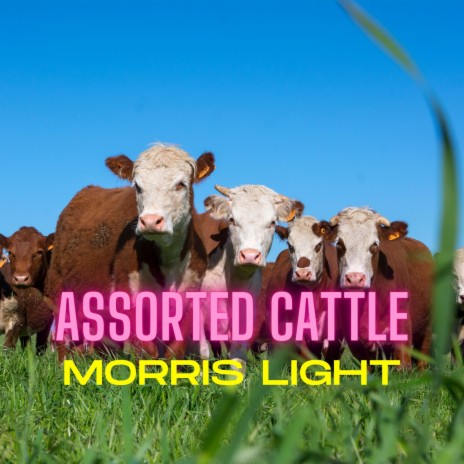 Assorted Cattle