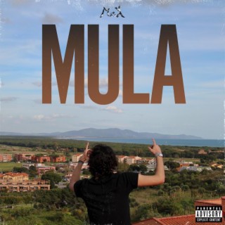 Mula