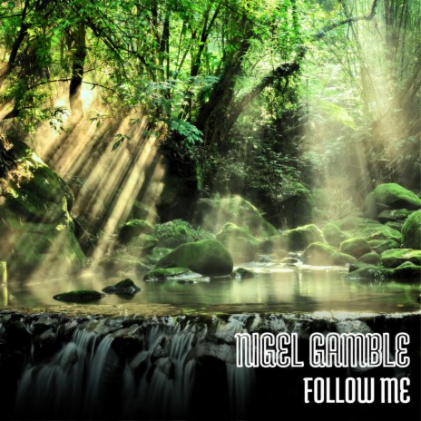 Follow Me | Boomplay Music