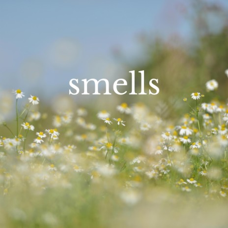 smells | Boomplay Music