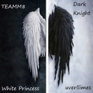 White Princess/Dark Knight