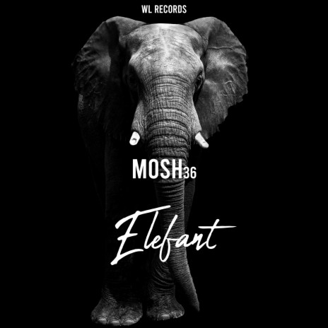 Elefant | Boomplay Music