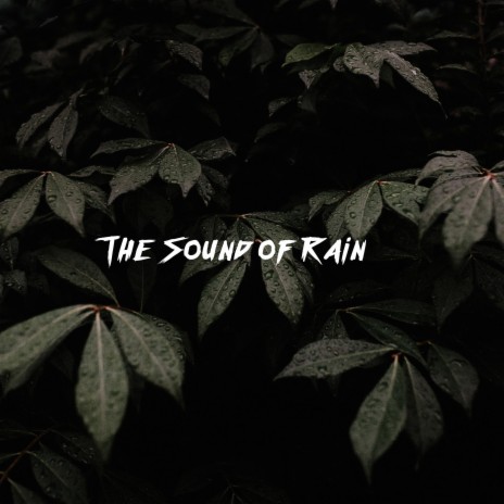 The Sound of Rain | Boomplay Music