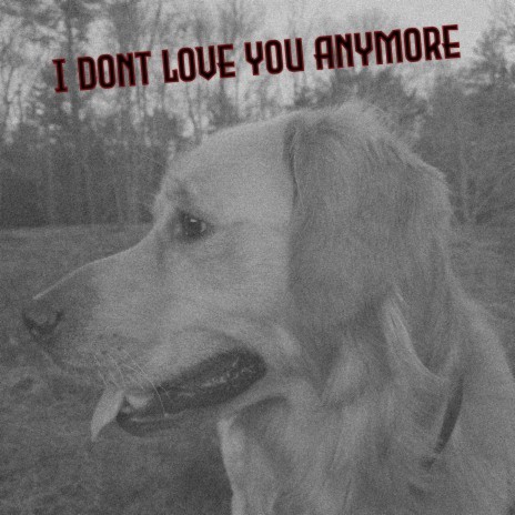 I Don't Love You Anymore (Acoustic) ft. Subtle Places | Boomplay Music