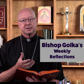 Bishop Golka’s Reflection on the Twenty-fourth Sunday in Ordinary Time