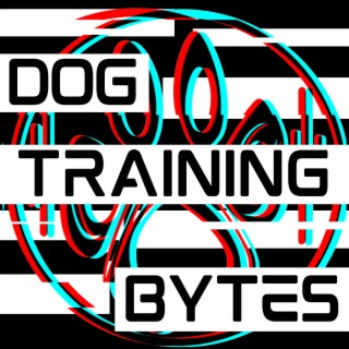 Dog Training Bytes Trailer