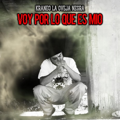 Voy Por lo que es Mio | Boomplay Music