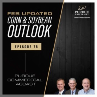 February Corn & Soybean Outlook Update