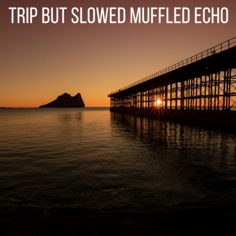 Trip but Slowed Muffled Echo