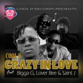 Crazy in love (feat. Cool D, Pilot Bigga G & Lover Bee)