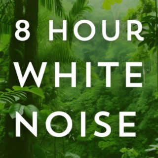 Rain White Noise 8 Hours